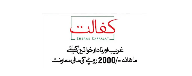 Ehsaas Program How Can Online Registration in 786 Program | 2000 Check